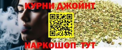 мдпв Гусев