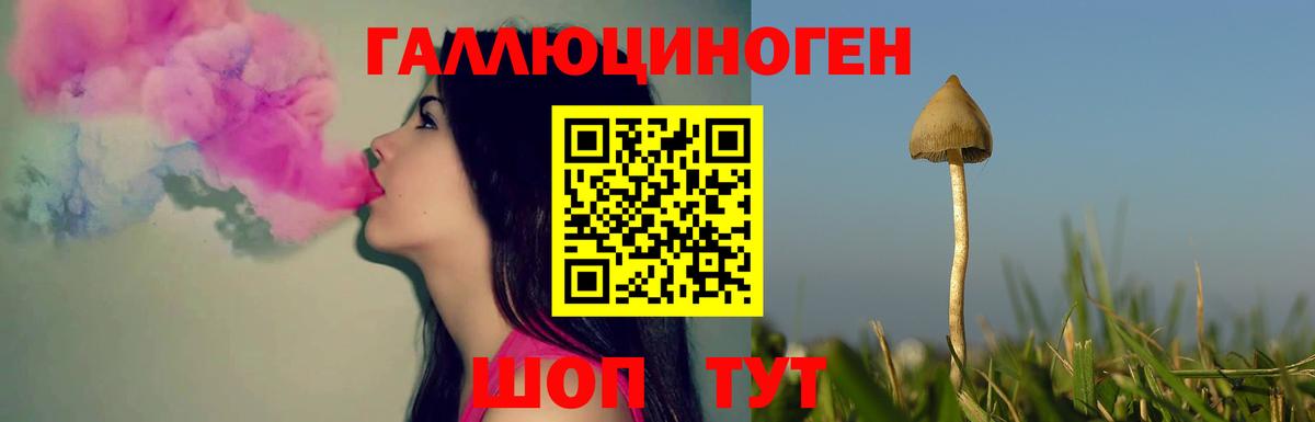 Нерюнгри  Галлюциногенные грибы мухоморы  Вход с VPN 